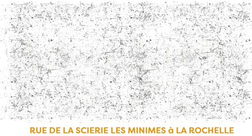 Le Loft No.45